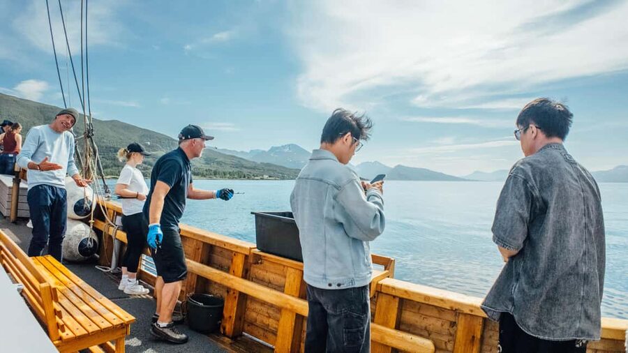 Tromsø: Fishing & Fjord Cruise - Value in the real world: is $198 worth it?