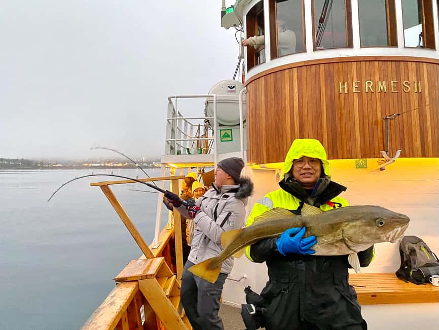 Tromsø: Fishing & Fjord Cruise - Pier 12 to the first fishing spot: how the trip flows