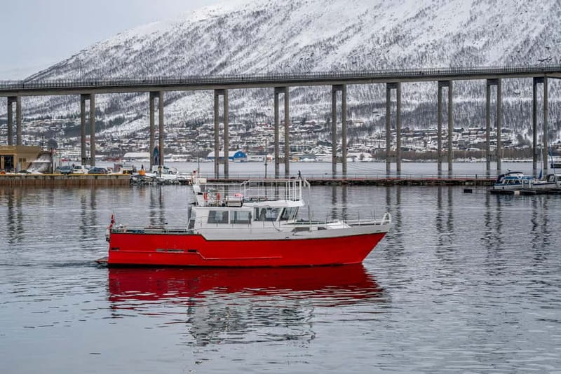 Tromso fishing Sea Safari - Stop 2: fjords yacht fishing, what you can realistically expect