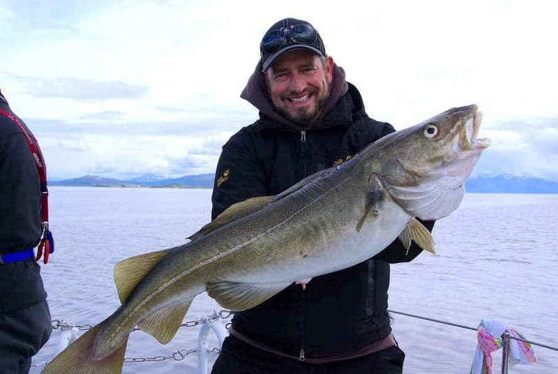 Tromso fishing Sea Safari - Price of $239.70: when it feels like good value (and when it might not)