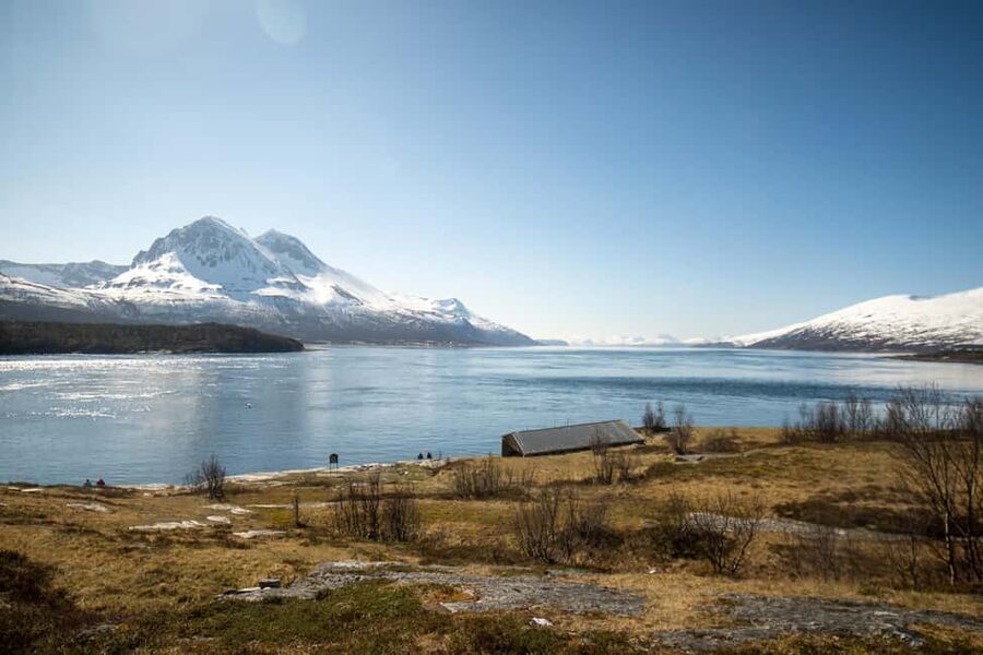 Tromsø: Fjord Adventure with Lunch and Photos - Wildlife odds: what you can see and how to spot it without chasing