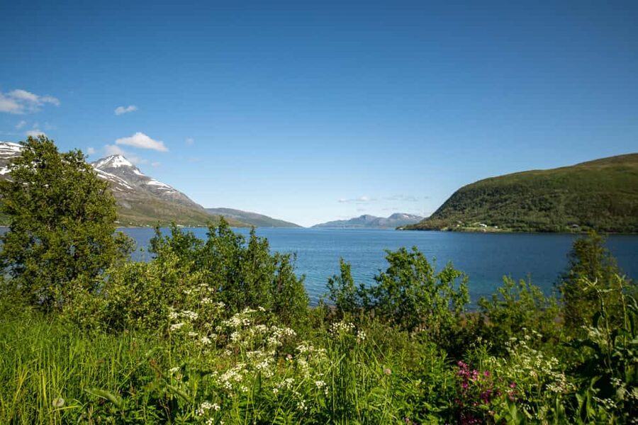 Tromsø: Fjord Adventure with Lunch and Photos - Lunch in a warm seaside cabin: what you eat and why it matters