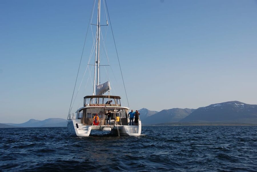 Tromsø: Fjord and Islands Luxury Catamaran Cruise - A note on group size: why it feels relaxed in real life