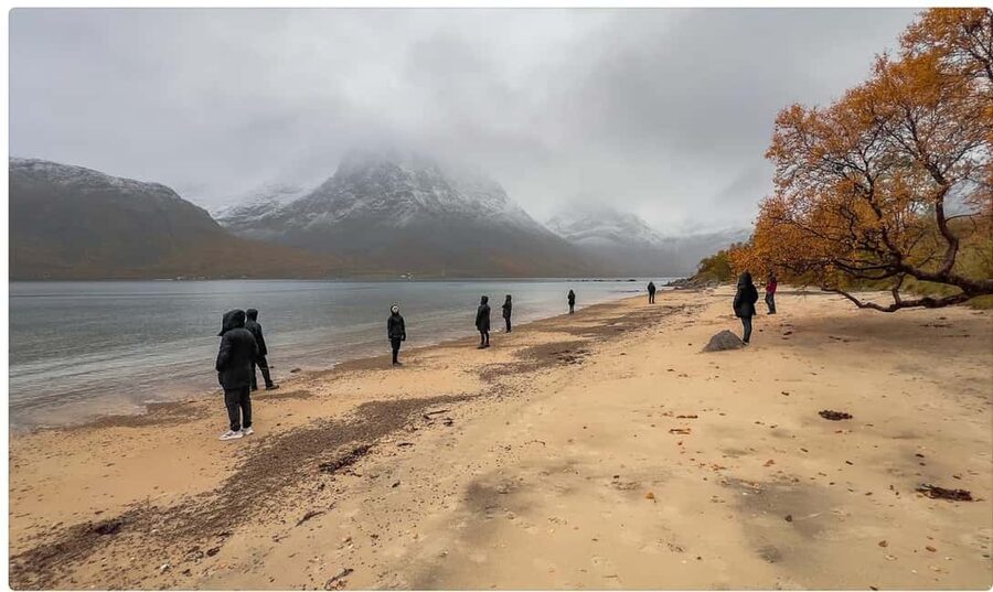Tromso: Fjord Arctic Adventure Expedition - The Provider Behind the Curtain: Arctic Explorers Norway