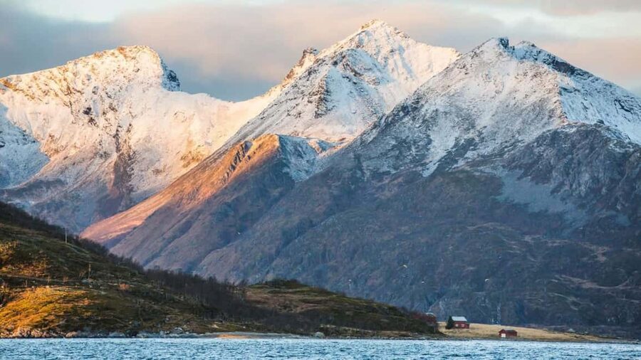 Tromso: Fjord Arctic Adventure Expedition - Wildlife Chances Without Fake Promises