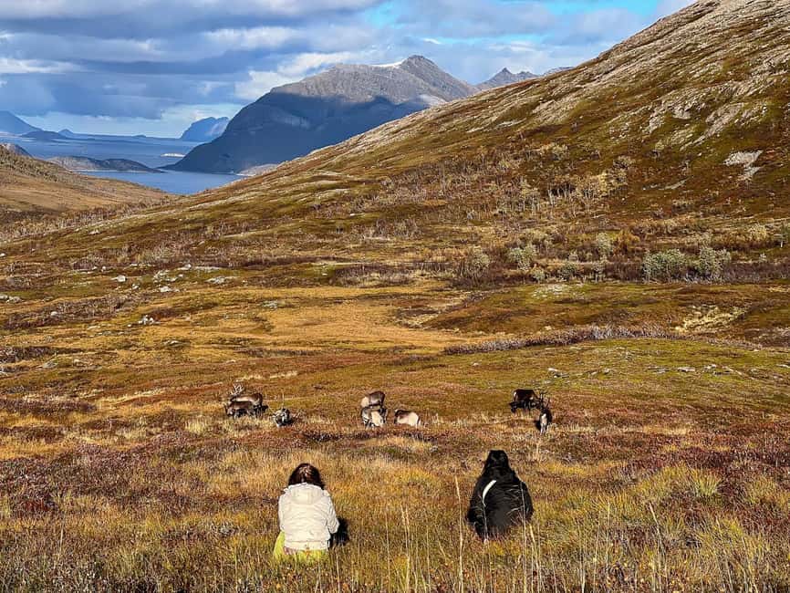 Tromso: Fjord Arctic Adventure Expedition - Getting Value From $85 for a 5-Hour Arctic Day