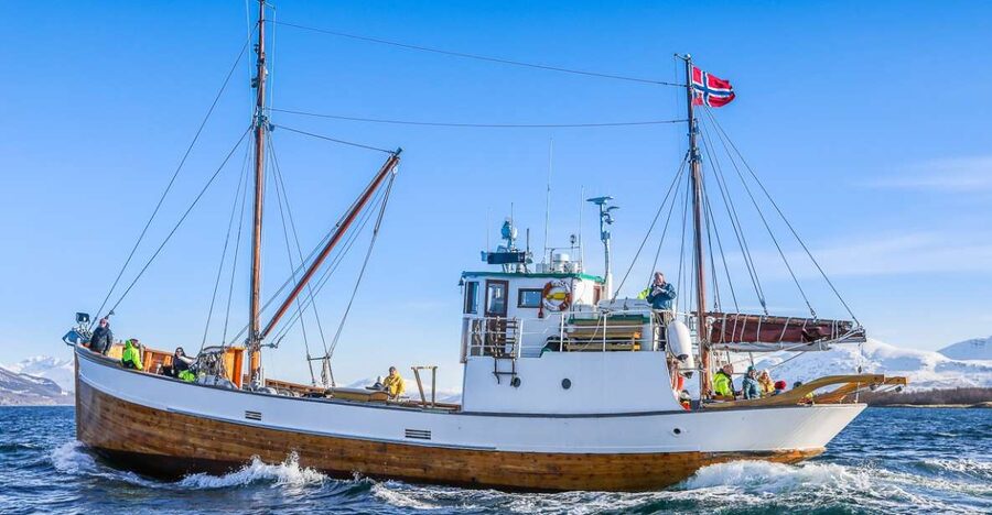 Tromsø: Fjord History Cruise with Snack and Drinks - Why the Hermes II Cruise Feels More Arctic Than Tourist