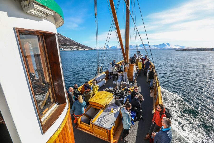 Tromsø: Fjord History Cruise with Snack and Drinks - Arctic Wildlife Chances: Eagles, Seals, Reindeer, and How to Spot Them