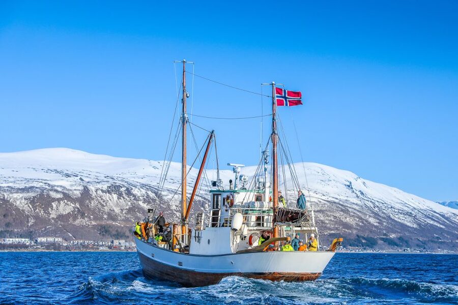 Tromsø: Fjord History Cruise with Snack and Drinks - Price and Value: What You Get for $156 in Tromsø Cold-Weather Reality