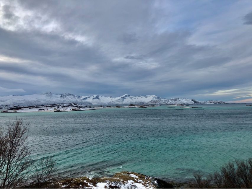 Tromsø: Fjords and Sommarøy Islands Tour with Salmon Picnic - Key Things You Will Notice