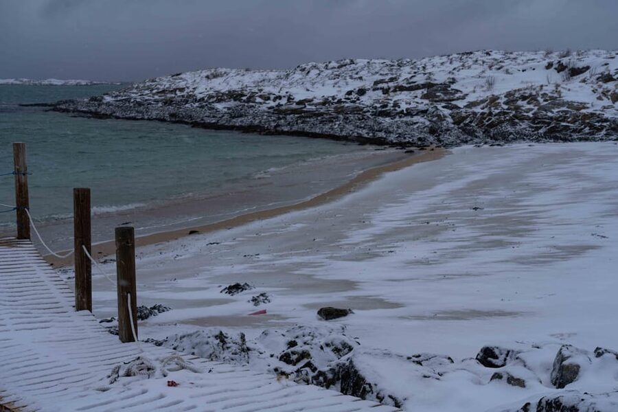 Tromsø: Fjords & Beaches Tour with Campfire and Arctic Food - Quick Practical Tips Before You Go