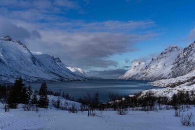 Fjords & Beaches Tour with Campfire and Arctic Food