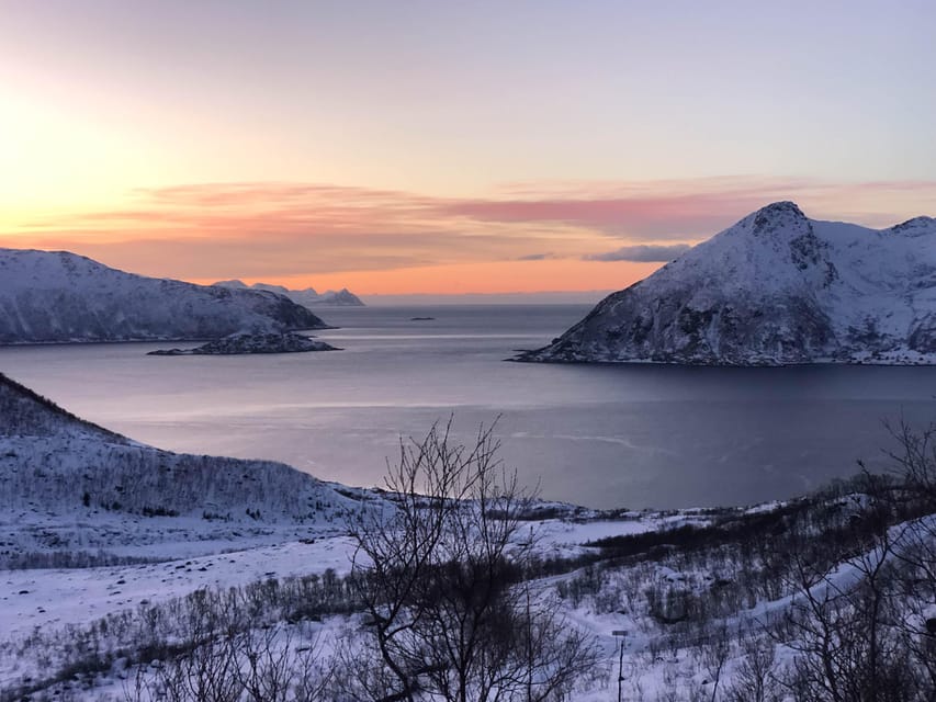 Tromsø: Fjords & Beaches Tour with Campfire and Arctic Food - Wildlife Spotting in Winter Light: What You Might See