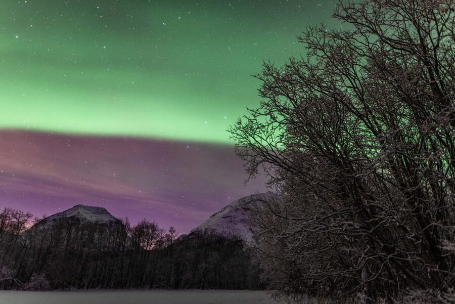 Tromsø: Fjords & Beaches Tour with Campfire and Arctic Food - Weather Changes the Route, and the Guide Changes With It