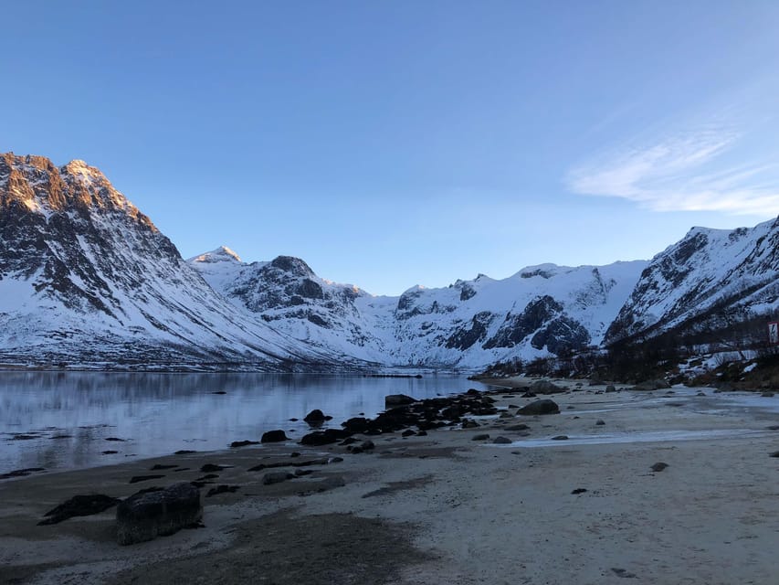 Tromsø: Fjords & Beaches Tour with Campfire and Arctic Food - The Value Math: Why $304 Can Be Fair for What You Get