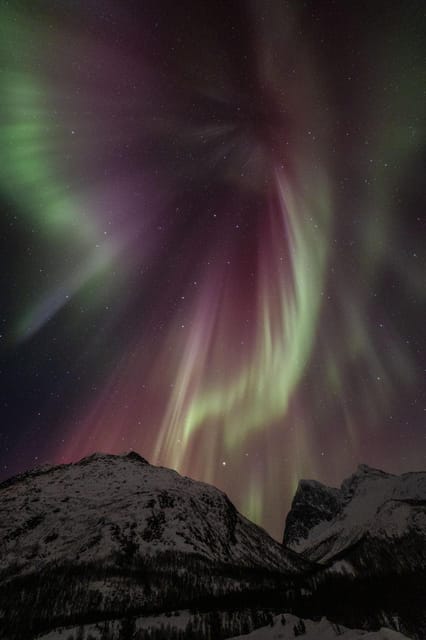 Tromsø: Fjords & Beaches Tour with Campfire and Arctic Food - Who This Tour Is Best For (and Who Might Want Something Else)