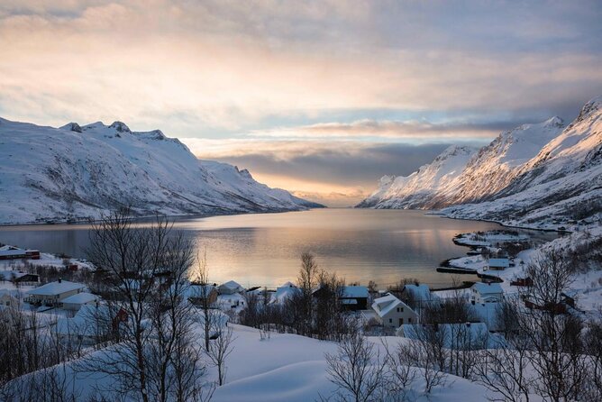 Tromso fjords road trip with fire in grill cabin by the beach. - Key highlights you should know before you go