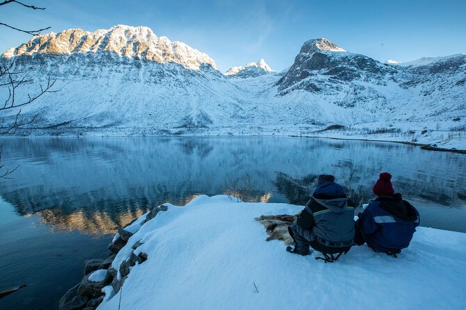 Tromso fjords road trip with fire in grill cabin by the beach. - Getting oriented: timing, group size, and how to plan your morning