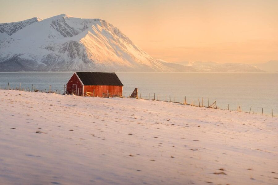 Tromsø: Fjords Tour - Road Trip Views: Fjords and Coastal Wildlife Near Tromsø