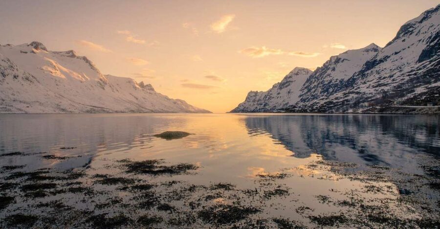 Tromsø: Fjords Tour - Traditional Village Picnic and Red House Stories