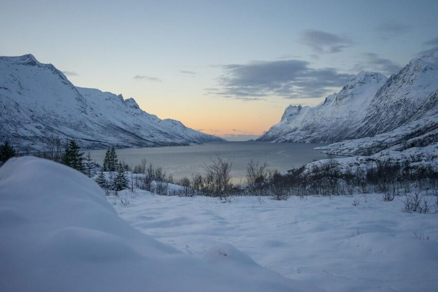 Tromsø: Fjords Tour - Price and Value for a $120, 5-Hour Guided Day
