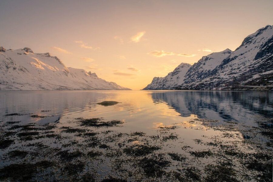 Tromsø: Fjords Tour - What to Pack for Arctic Weather and Quick Stops