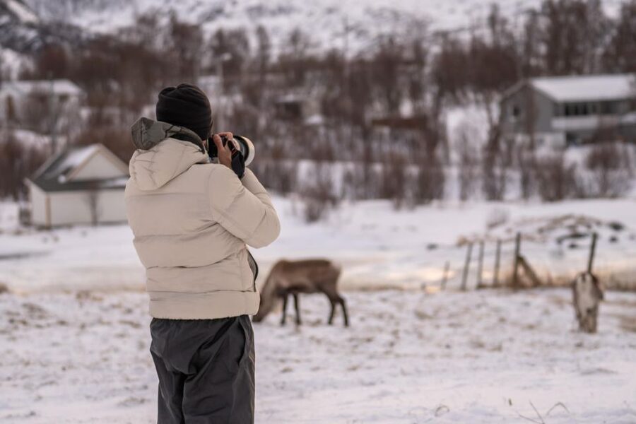 Tromsø: Fjords Tour - Start at Scandic Ishavshotel, Then Head to Kvaløya