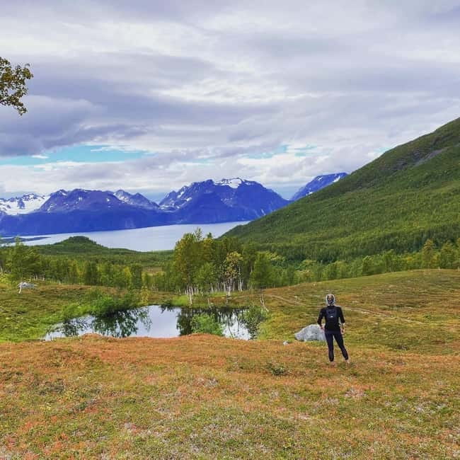 Tromsø: Guided Hiking Tour with Roundtrip Transfers - Key highlights you’ll feel during the hike