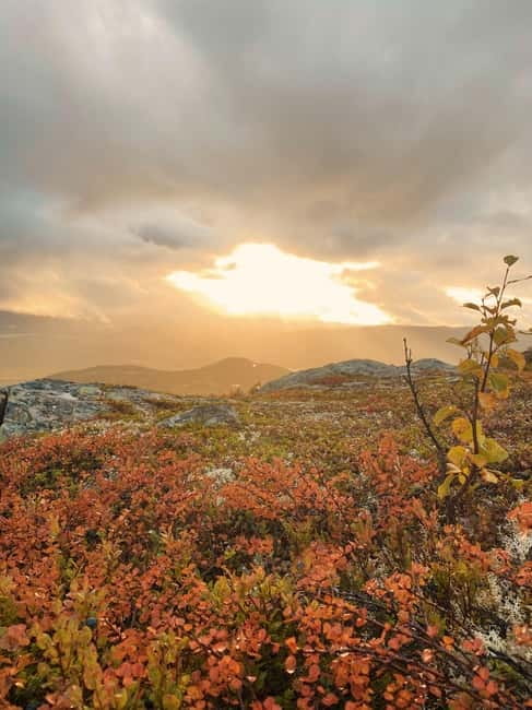 Tromsø: Guided Hiking Tour with Roundtrip Transfers - What your local guide actually adds to the hike