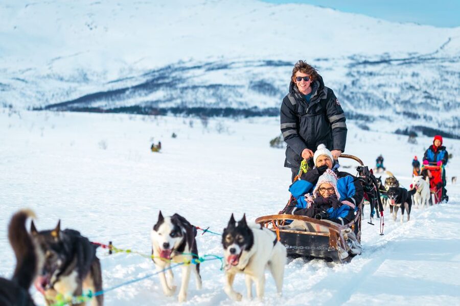 Tromsø: Guided Husky Sledding with Traditional Lunch - Key points at a glance