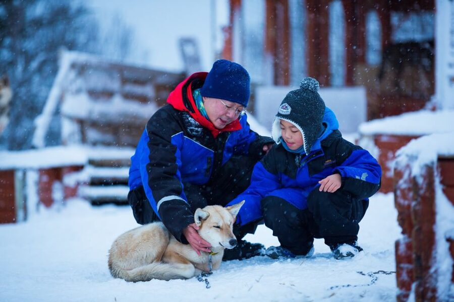 Tromsø: Guided Husky Sledding with Traditional Lunch - Price and value: why $282 can feel fair or pricey