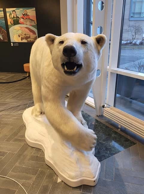 Tromsø: Guided Polar Bear Walk incl. Polaria & Polar Museum - Polaria: interactive Changing Arctic learning plus a close-up bearded seal