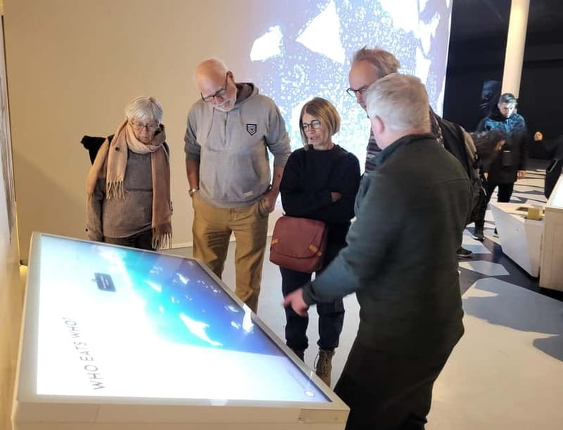 Tromsø: Guided Polar Bear Walk incl. Polaria & Polar Museum - The Polar Museum: Tromso’s polar bear rumors, stuffed reminders, and local folklore