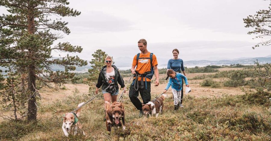 Tromsø: Husky Hike and Puppy Visit with Traditional Lunch - What Makes This Tour Worth Your Time