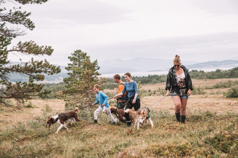 Tromsø: Husky Hike and Puppy Visit with Traditional Lunch - What the Husky Center Day Feels Like (Before You Ever Step Off)