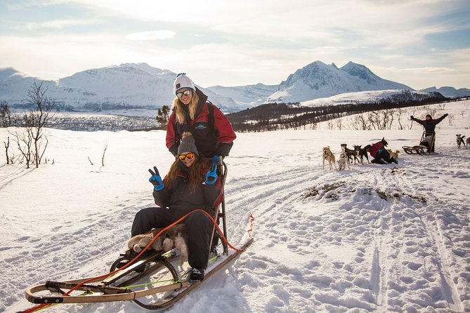 Tromso Husky Self-Drive Sledding with Cake and Drink in Lavvu - From Tromsø to the Kennel: What the Start Really Feels Like