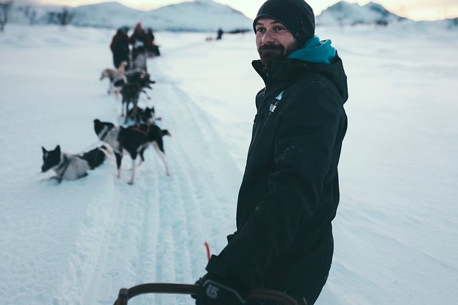 Tromso Husky Self-Drive Sledding with Cake and Drink in Lavvu - What to Wear and Bring: Don’t Underestimate “Warm Enough”