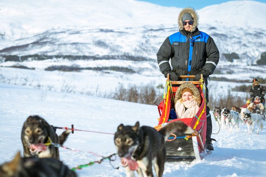 Tromsø: Husky Sled Self-Drive with Traditional Lunch - Seat swapping, dog cuddles, and seeing how the huskies live