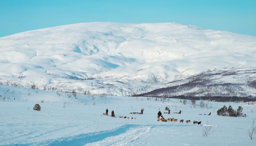 Tromsø: Husky Sled Self-Drive with Traditional Lunch - Snowsuit up, then mushing basics before you go
