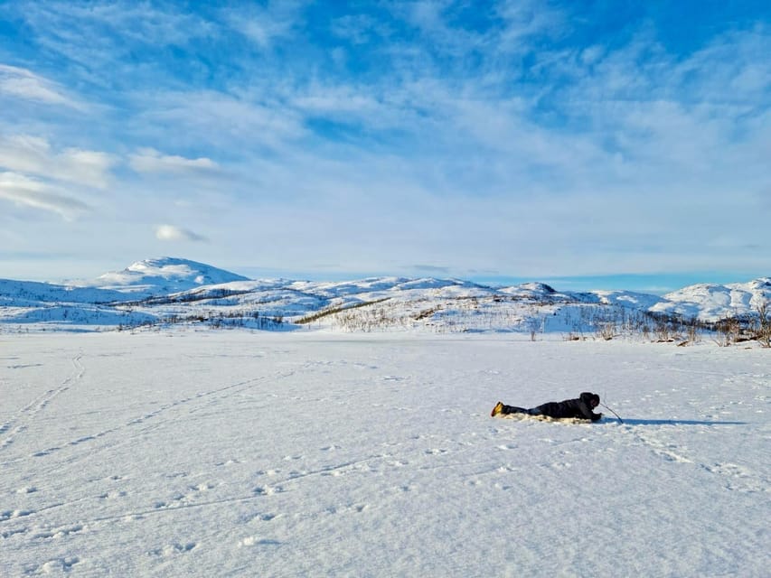 Tromsø: Ice Fishing and Snowshoe Hiking with a Local Guide - Wildlife on the way back: reindeer sightings can happen