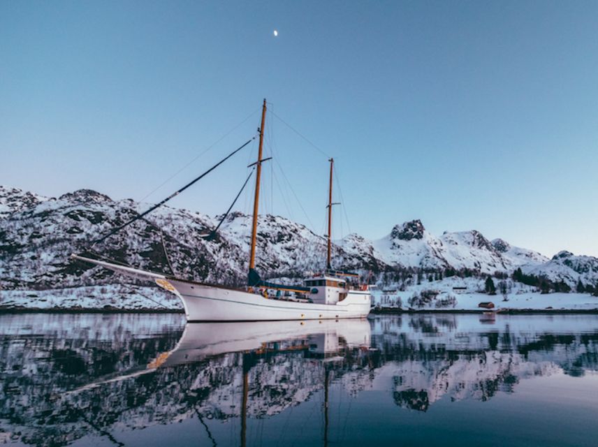 Tromso: Luxury Northern Lights Cruise with Hot Tub & Dinner - Price and value: what $309 gets you in real terms