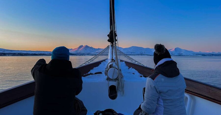 Tromsø: Luxury Polar Fjord Cruise w/ Hot Tub & Polar Plunge - Tromsø Fjord Sailing That Feels Personal, Not Packed
