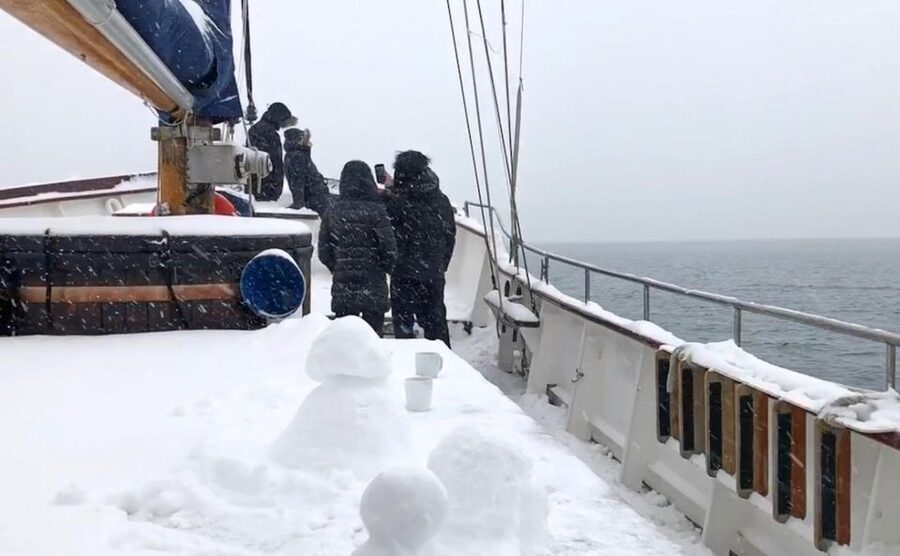 Tromsø: Luxury Polar Fjord Cruise w/ Hot Tub & Polar Plunge - Why the Price Feels Like Value at $281 Per Person