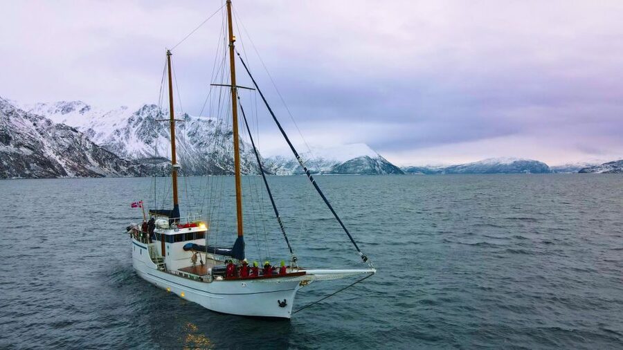 Tromsø: Luxury Polar Fjord Cruise w/ Hot Tub & Polar Plunge - The Balsfjorden Route: Where Wildlife Chances Feel Real