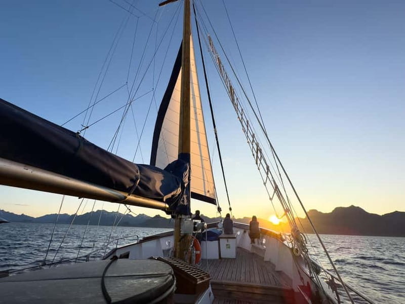 Tromsø: Midnight Sun Evening Cruise with Hot Tub - Wildlife spotting from a luxury sailing deck