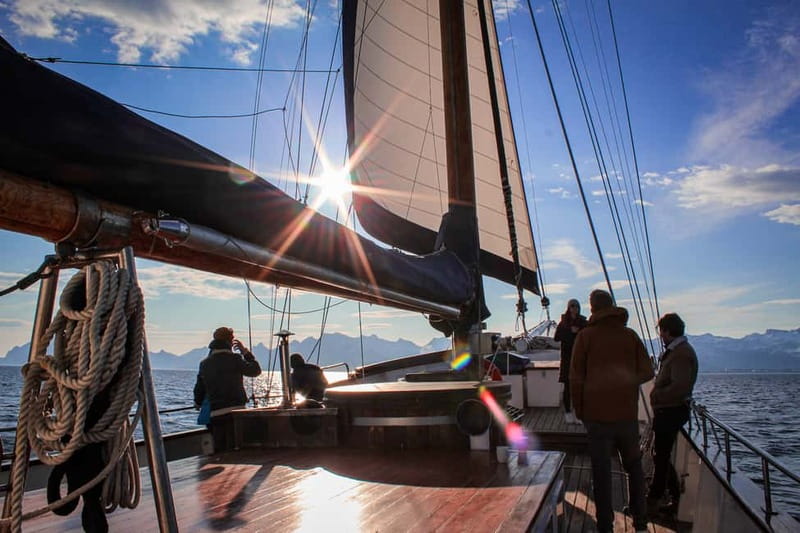 Tromsø: Midnight Sun Evening Cruise with Hot Tub - Weather and clothing: what to pack for an Arctic summer evening