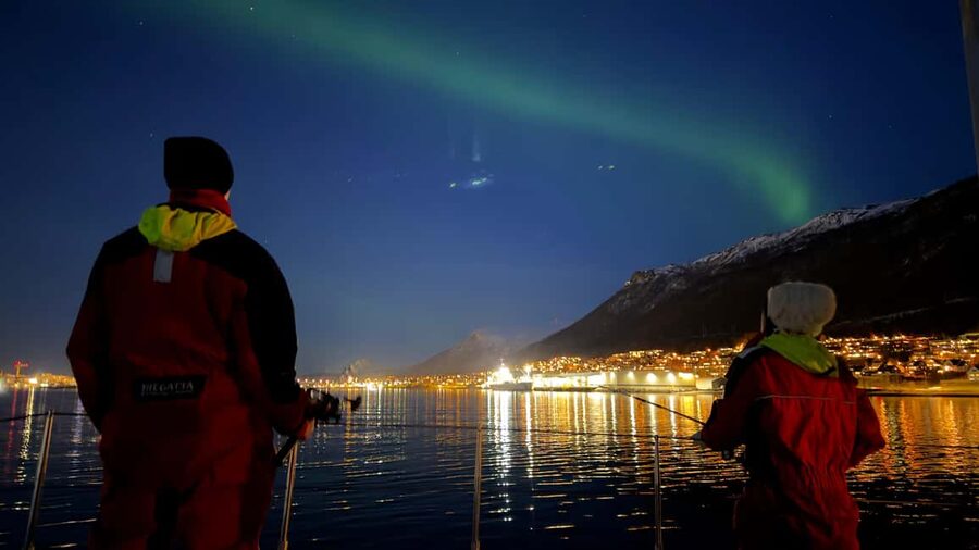 Tromsø: Nocturnal cod fishing with meal. - The onboard meal, homemade fish soup plus vegan or veg options