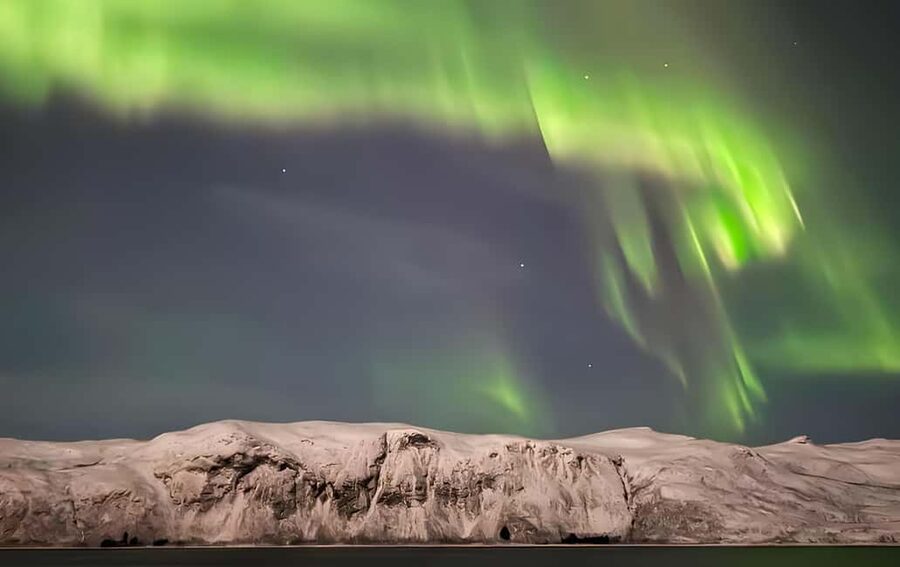 Tromsø: Northern Lights Bus Tour with Free Photography - What the guides do with GPS, maps, and real-time decisions