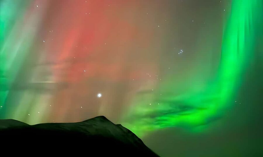 Tromsø: Northern Lights Bus Tour with Free Photography - Comfort, timing, and the value of a $61, 6-hour hunt