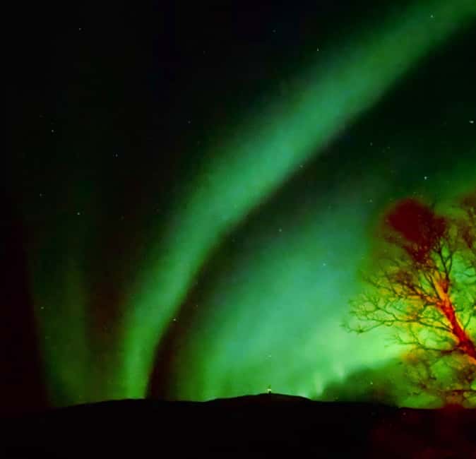 Tromsø: Northern Lights Chase — Small Group Experience - The Aurora Viewing Window and What the Night Feels Like